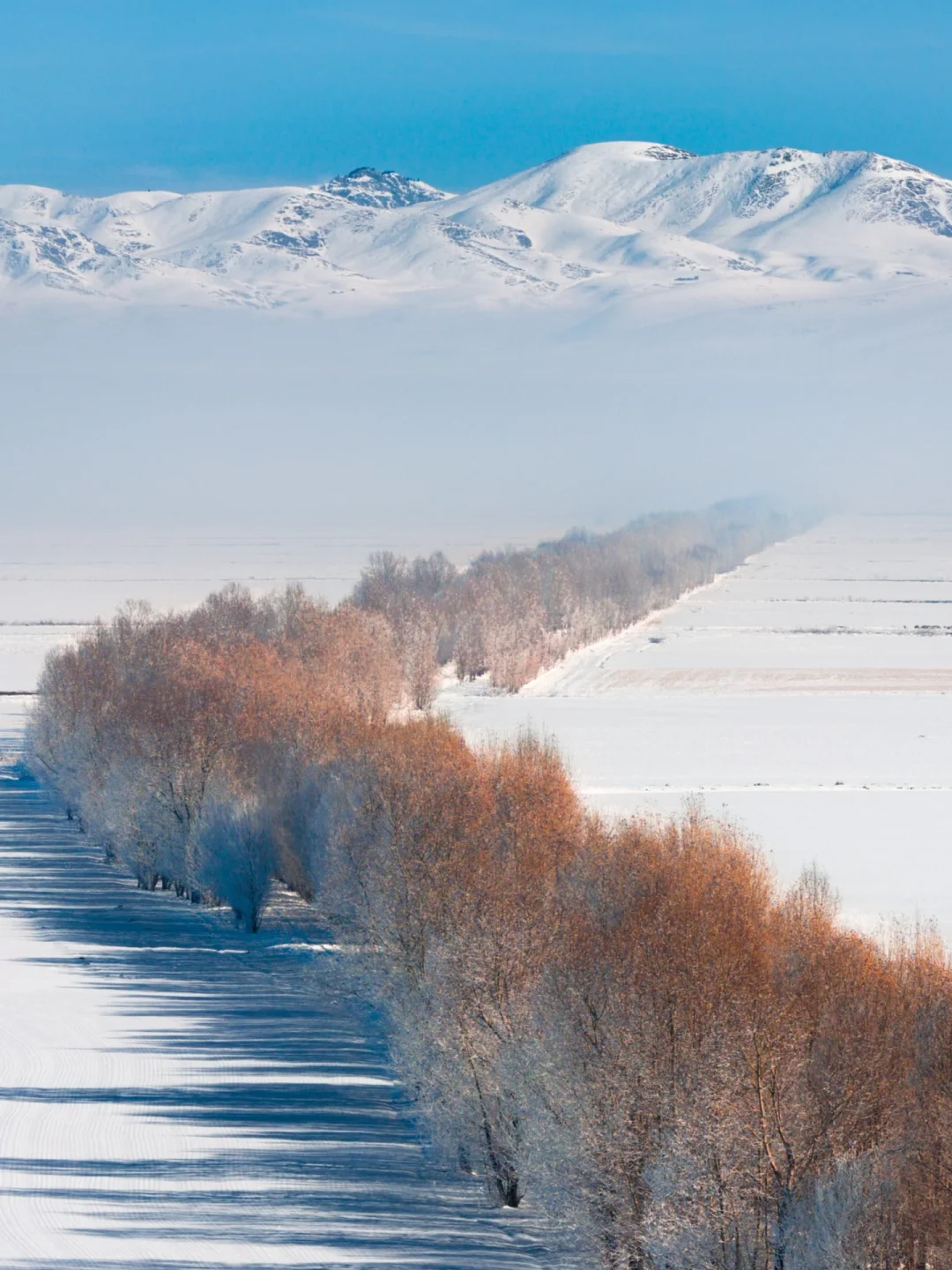新疆踩线手记|伊犁我最爱的冬天,原来在昭苏