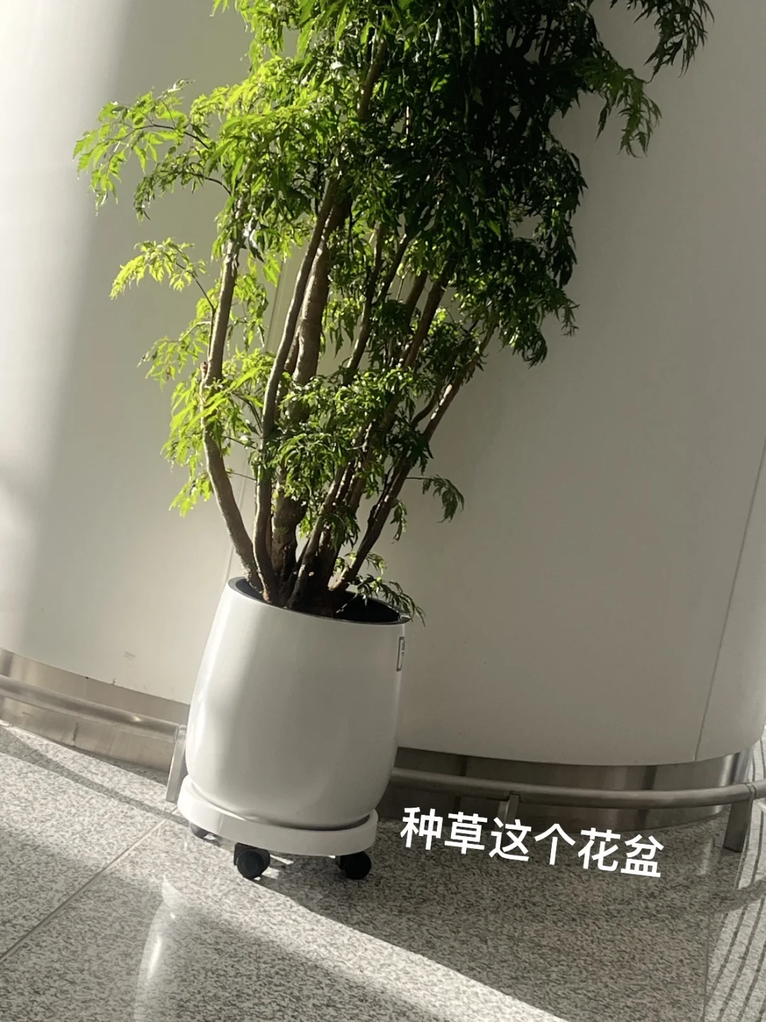 机场有趣的机器?