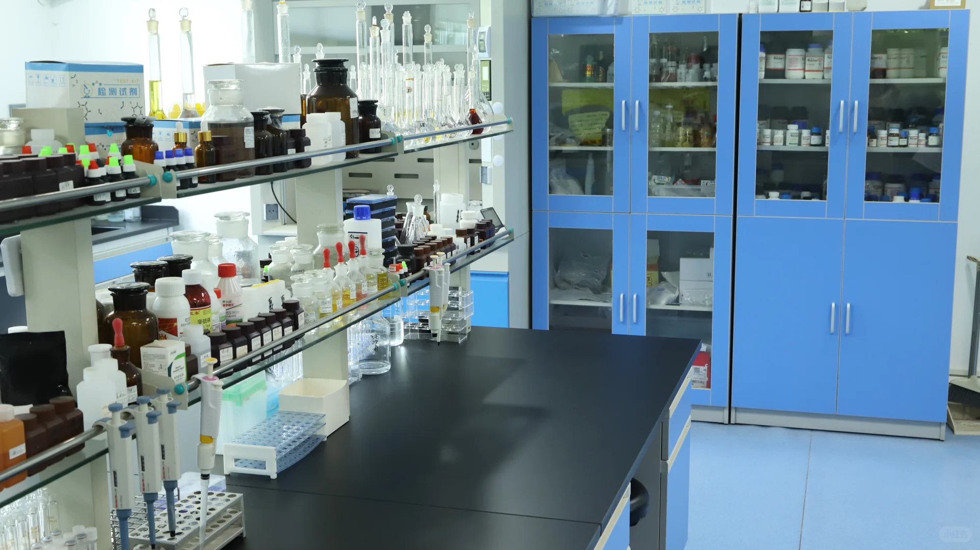 食用油综合检测仪-酸价过氧化值+黄曲霉毒素