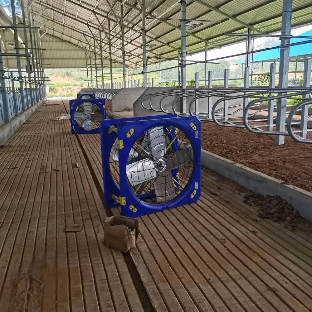 牧草的风，自由又奔放～