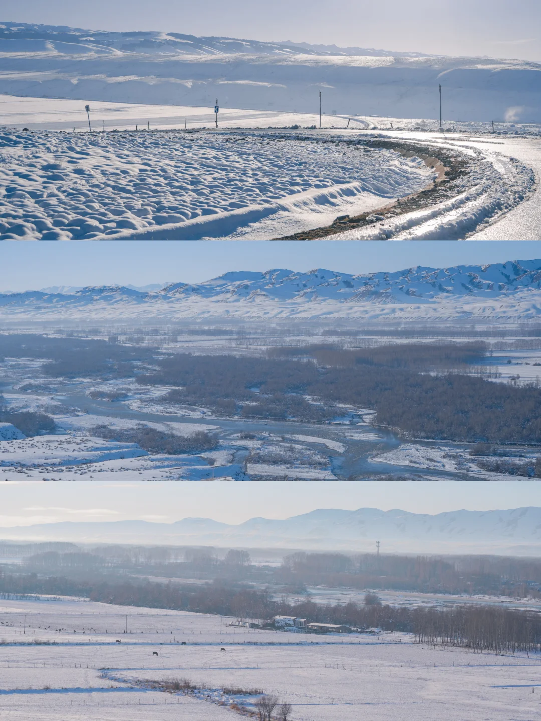 新疆踩线手记|伊犁我最爱的冬天,原来在昭苏