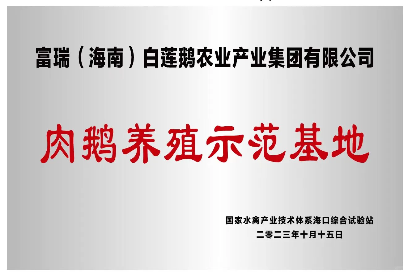 白莲鹅集团简介