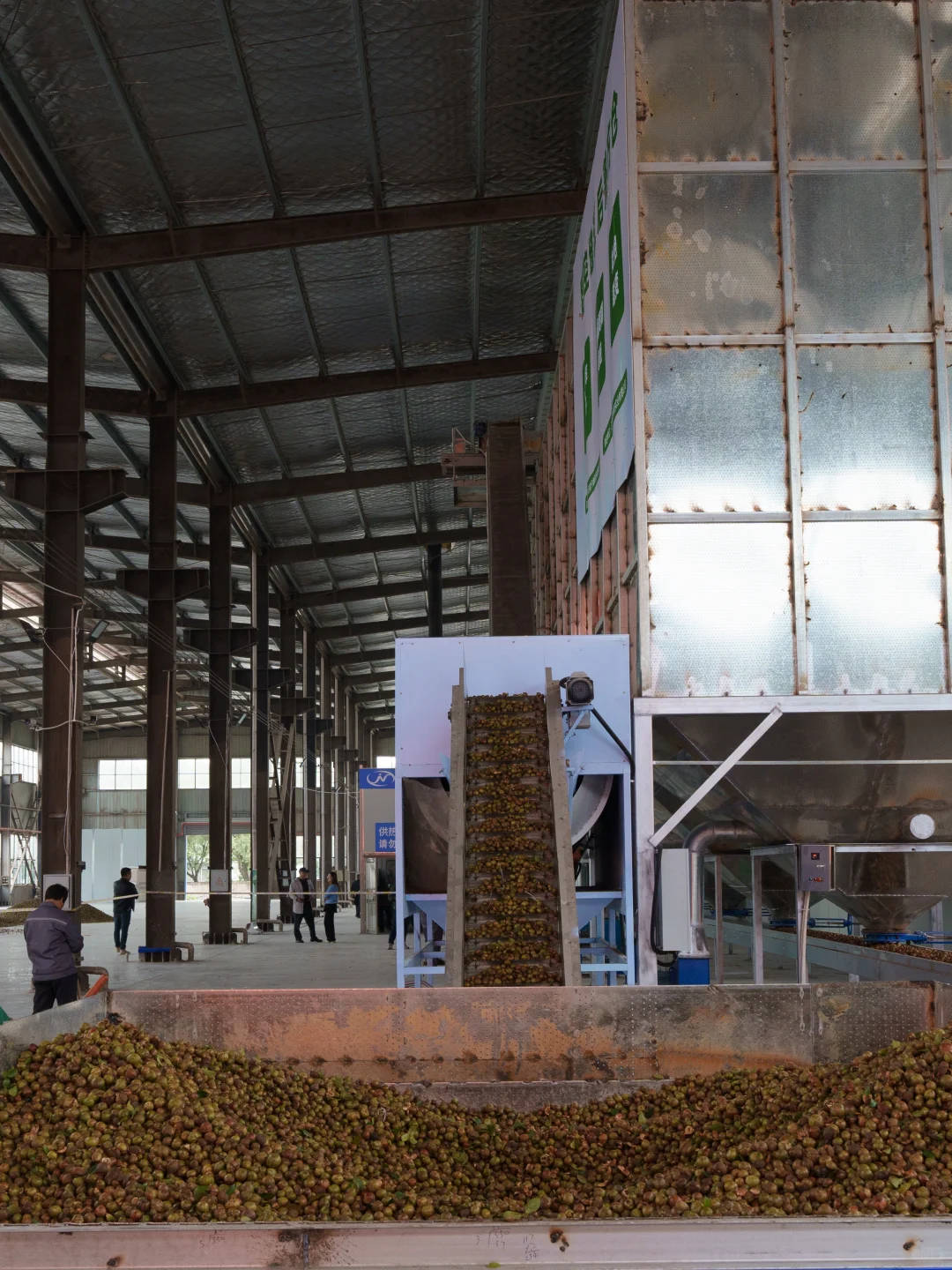 农村电商生活日常之外出参观全自动生产线