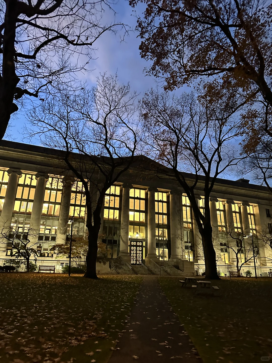 哈佛期末周｜在法学院图书馆疯狂学???