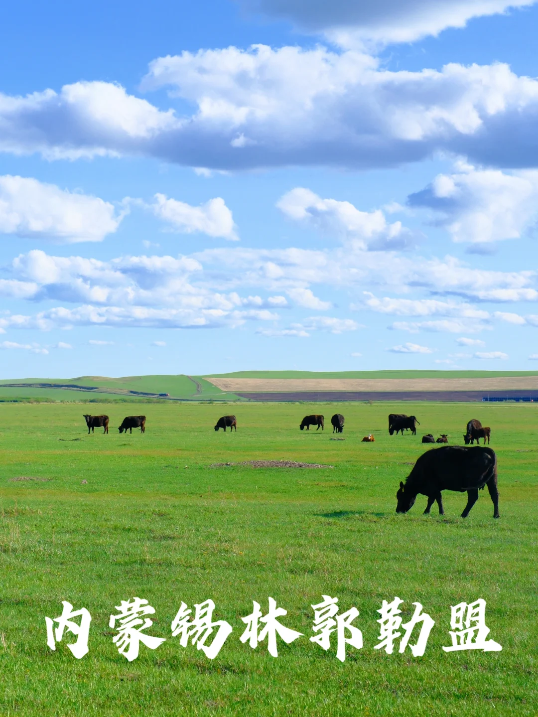 要让所有人都知道，整片牧场都为你承包了❗