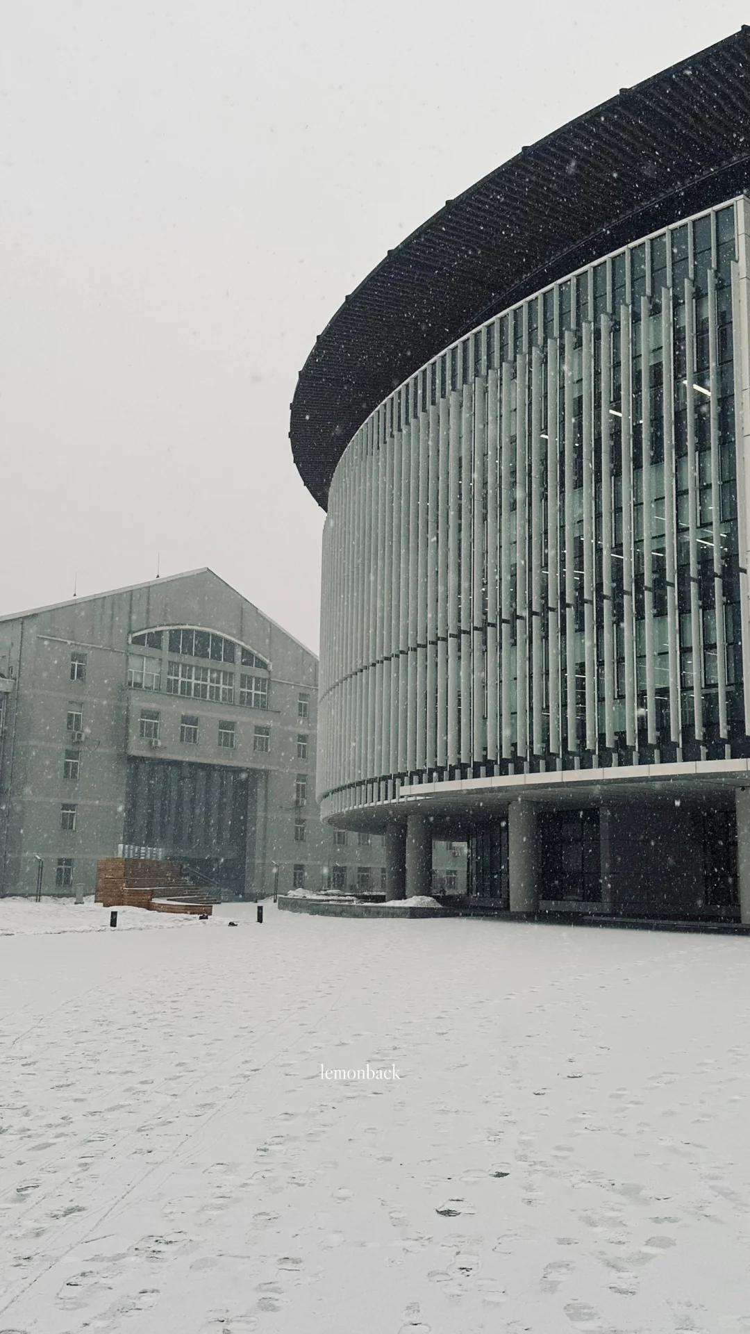 当影视剧里图书馆具像化—沈大图书馆