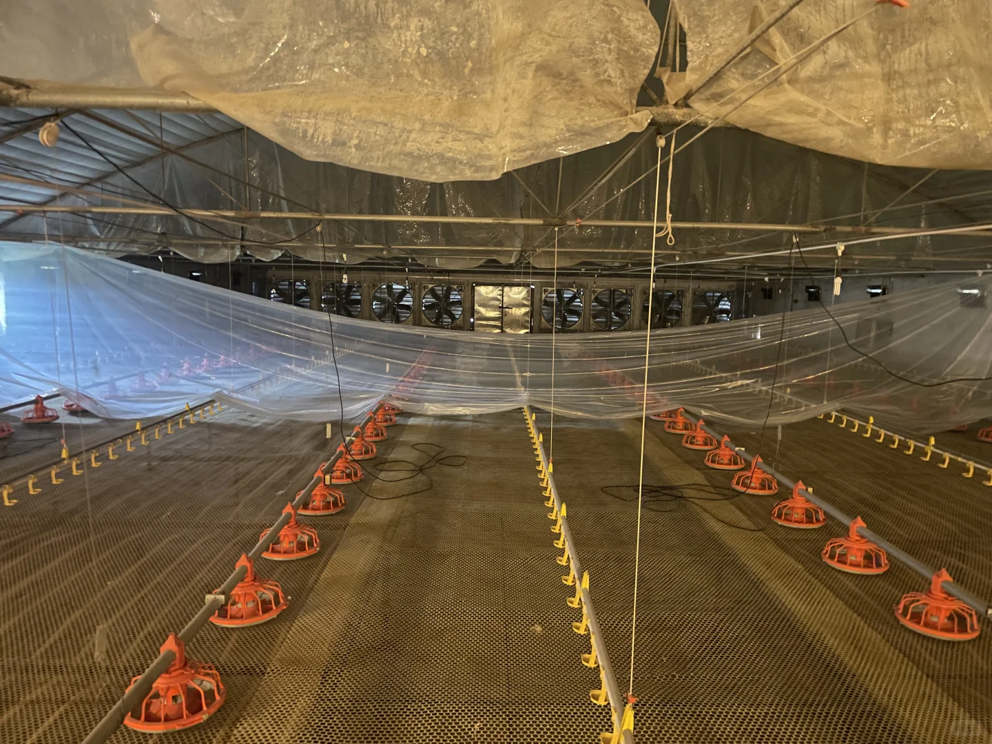 出售二手养殖设备，养鸡，养鸭设备