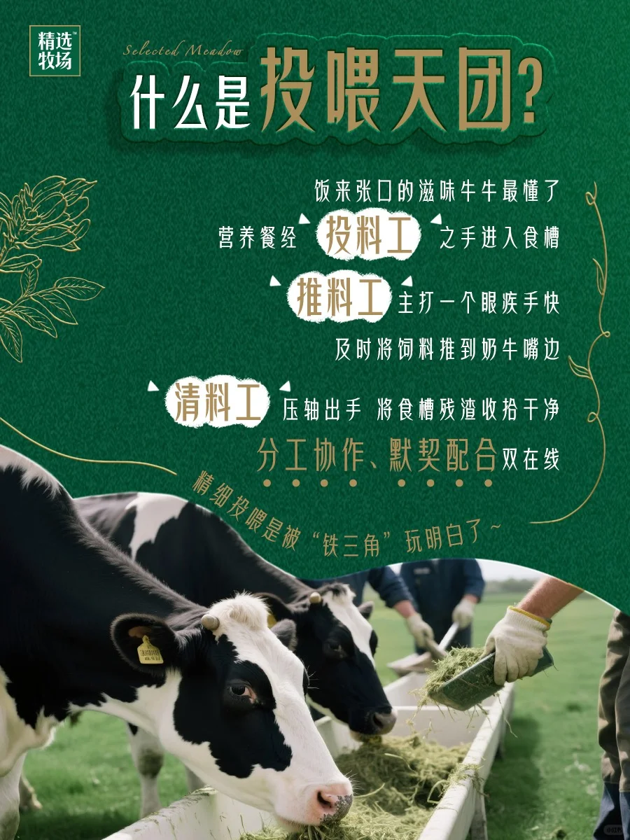 必须给这些牧场劳动者一个大大的赞！