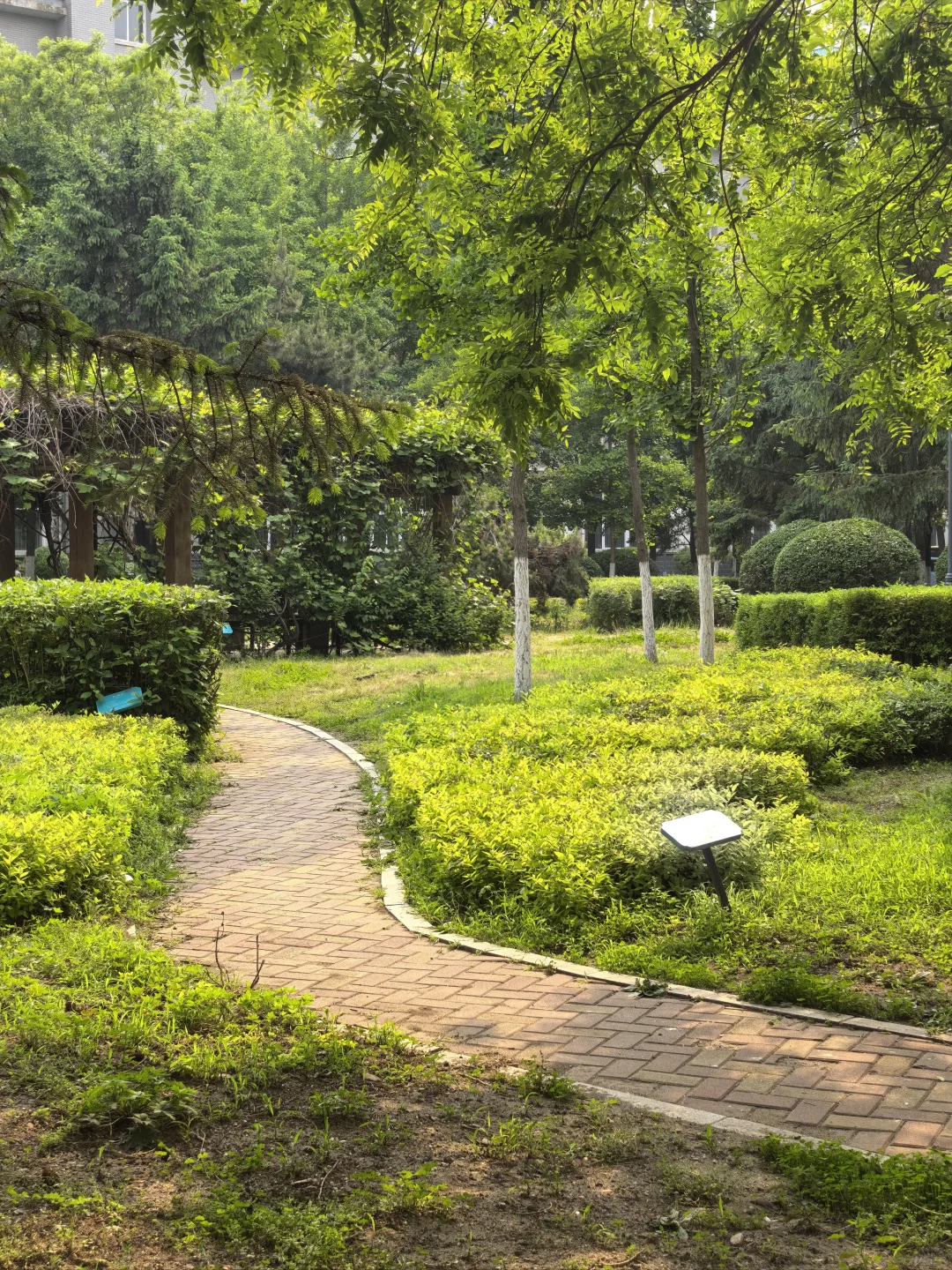 沈阳大学等你到来