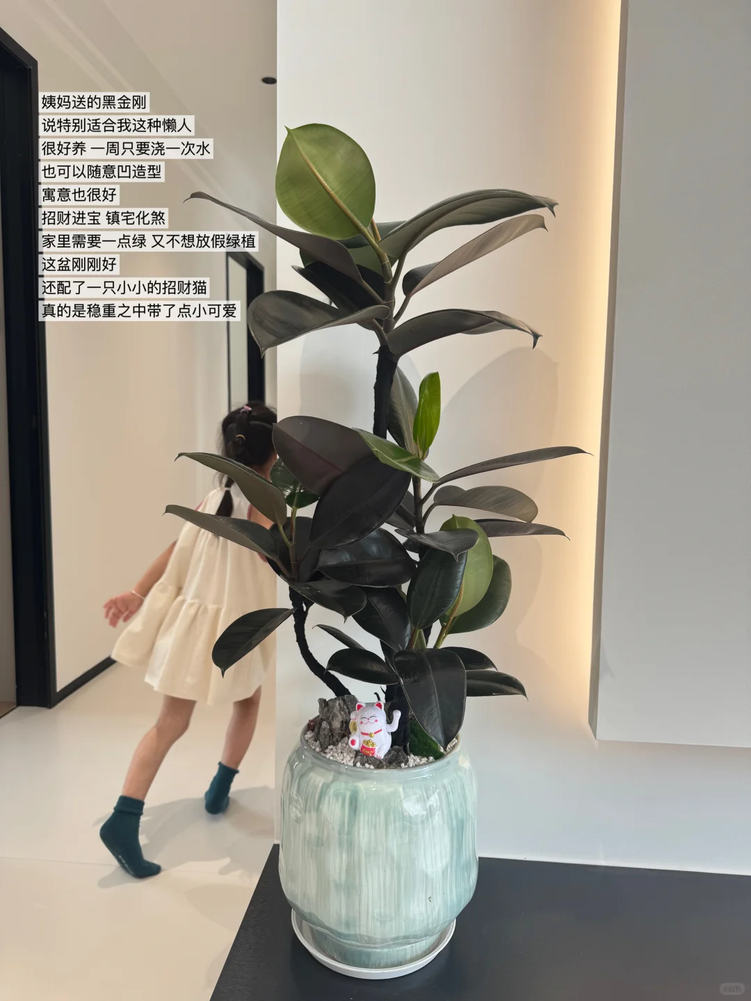 那些送到我心巴上的乔迁礼物！?