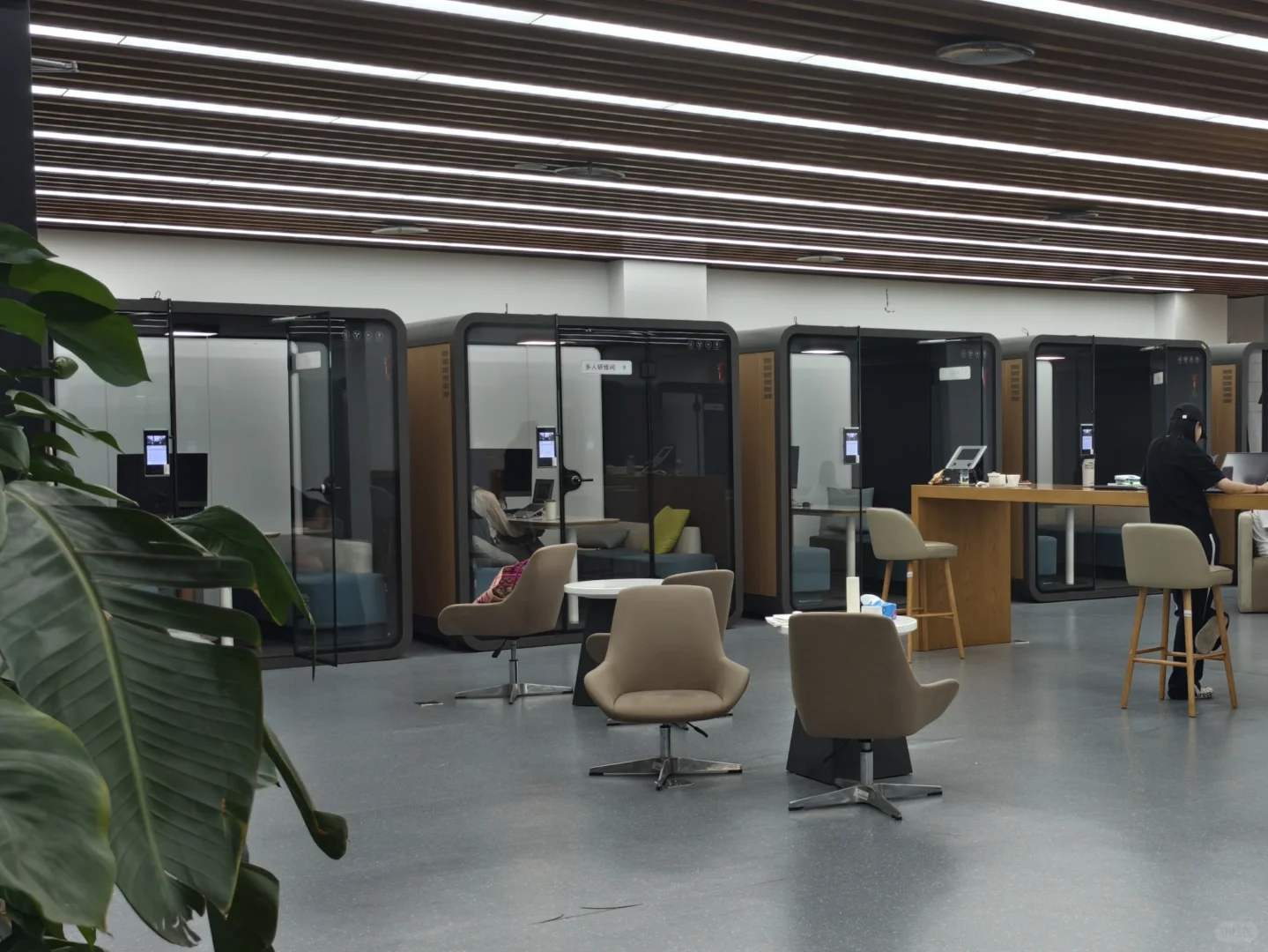 漫卷·象牙塔：中国政法大学丨图书馆