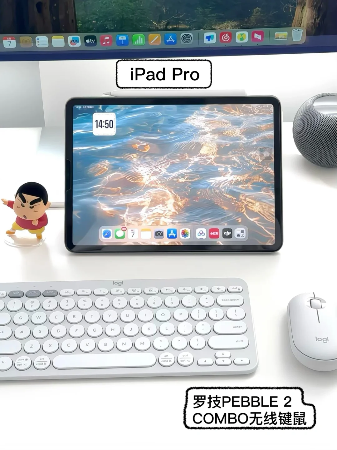 该省省该花花｜我的桌搭清单?自购无广?