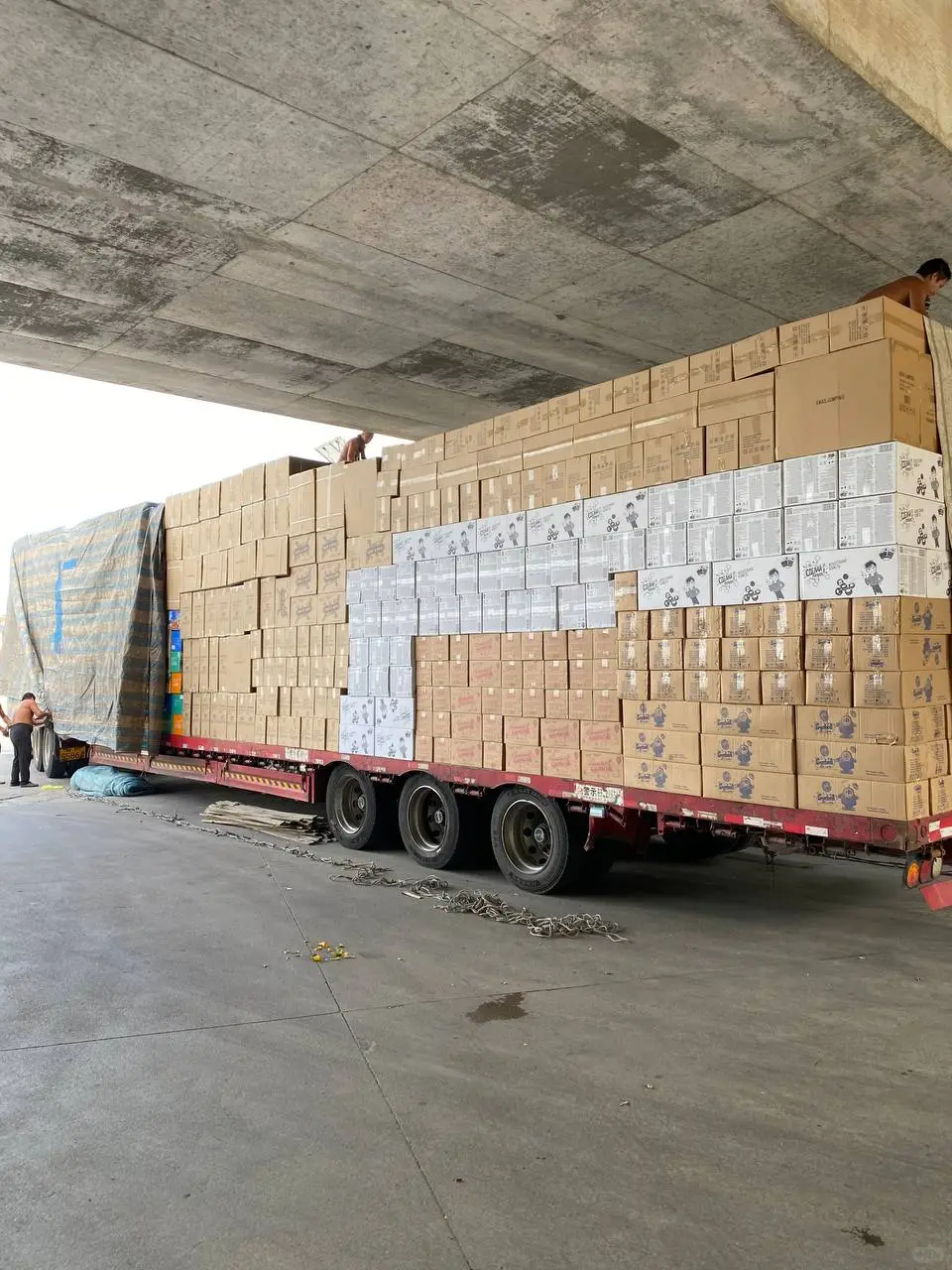 Трал | Trawl | 拖网