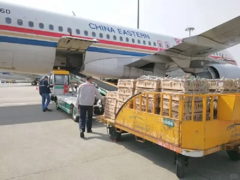 零件设备如何空运？空运费用多少