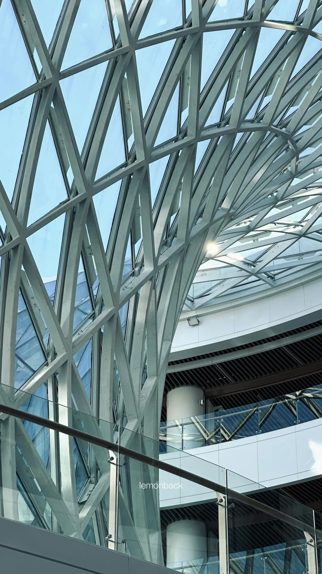 当影视剧里图书馆具像化—沈大图书馆