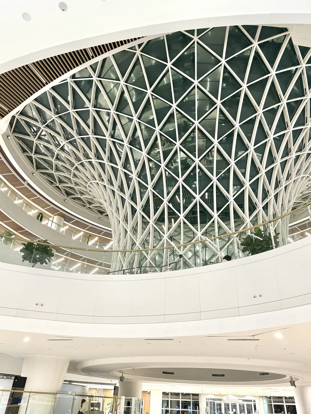 沈大印象——最美高校图书馆