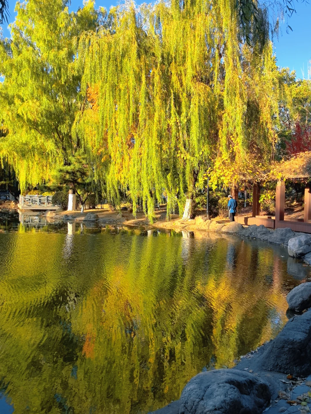 沈阳大学等你到来