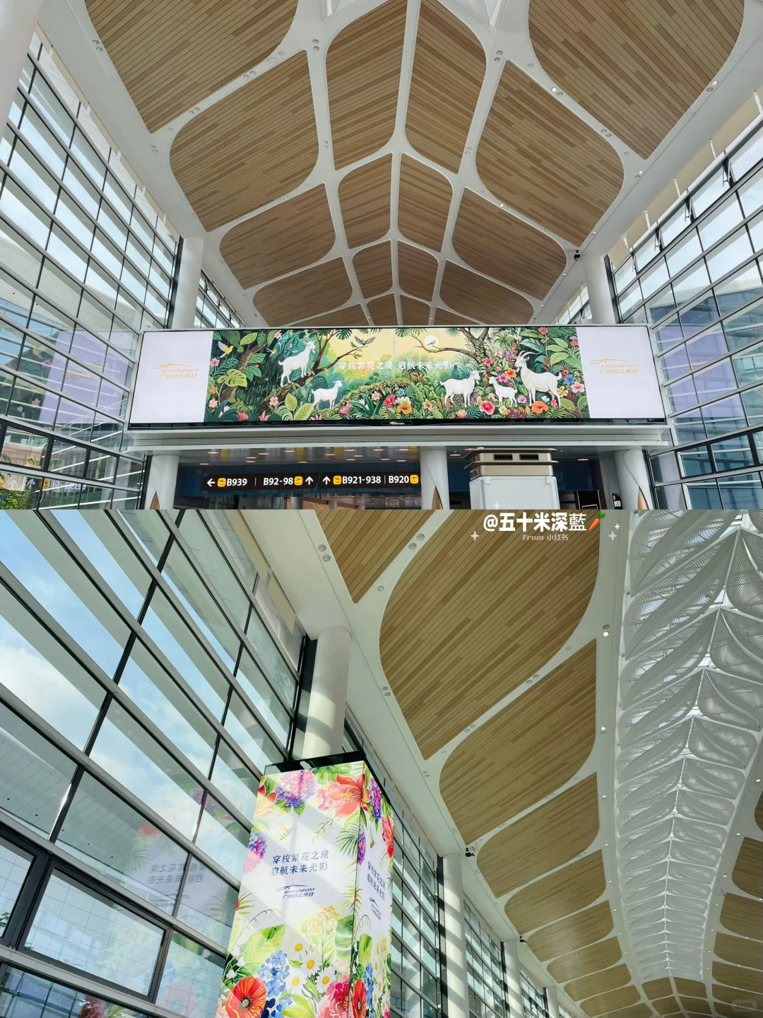 ?广州白云国际机场?✨CANᵀ₃航站楼✨