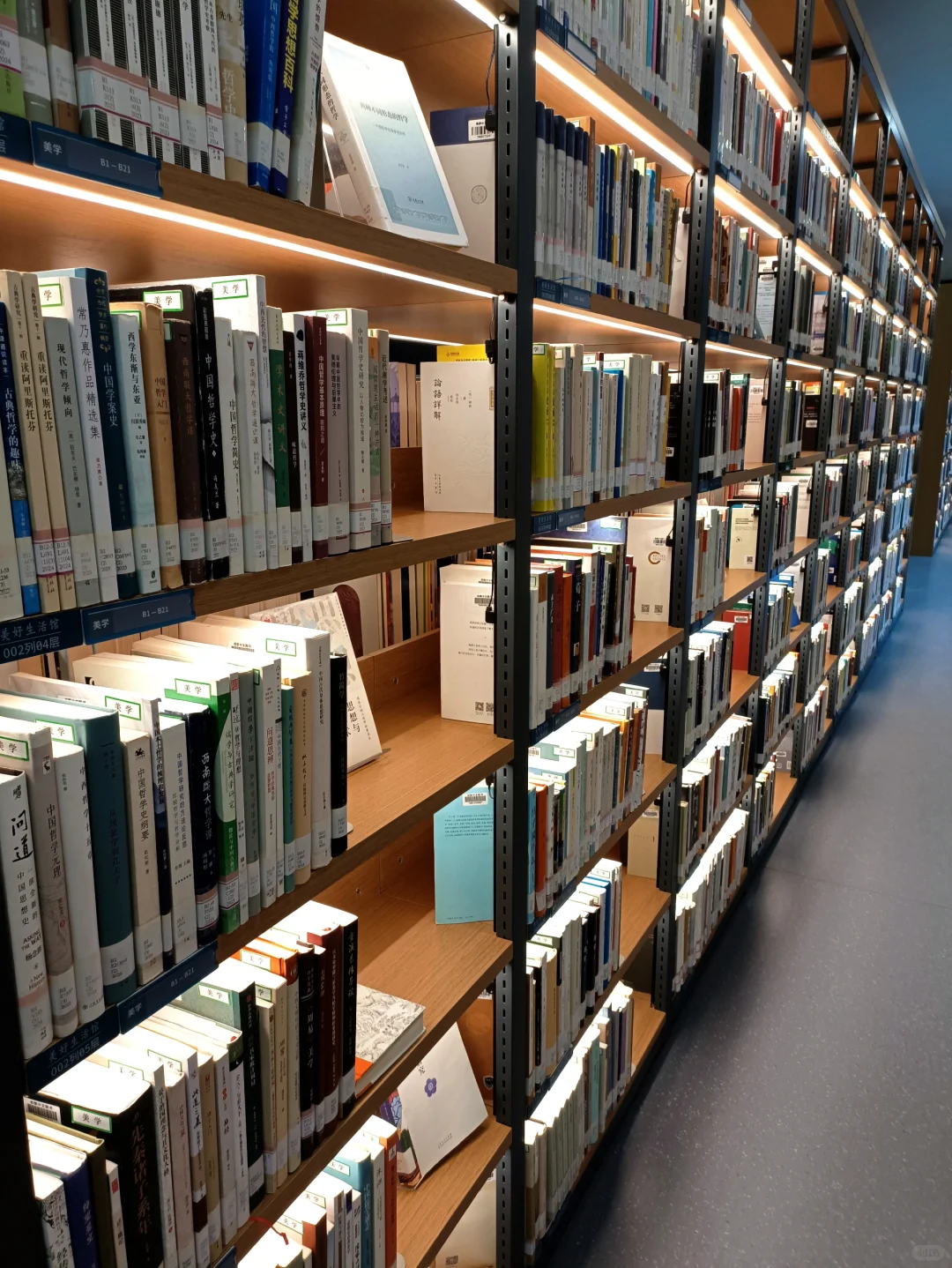 在广州又找到一个人少安静的图书馆