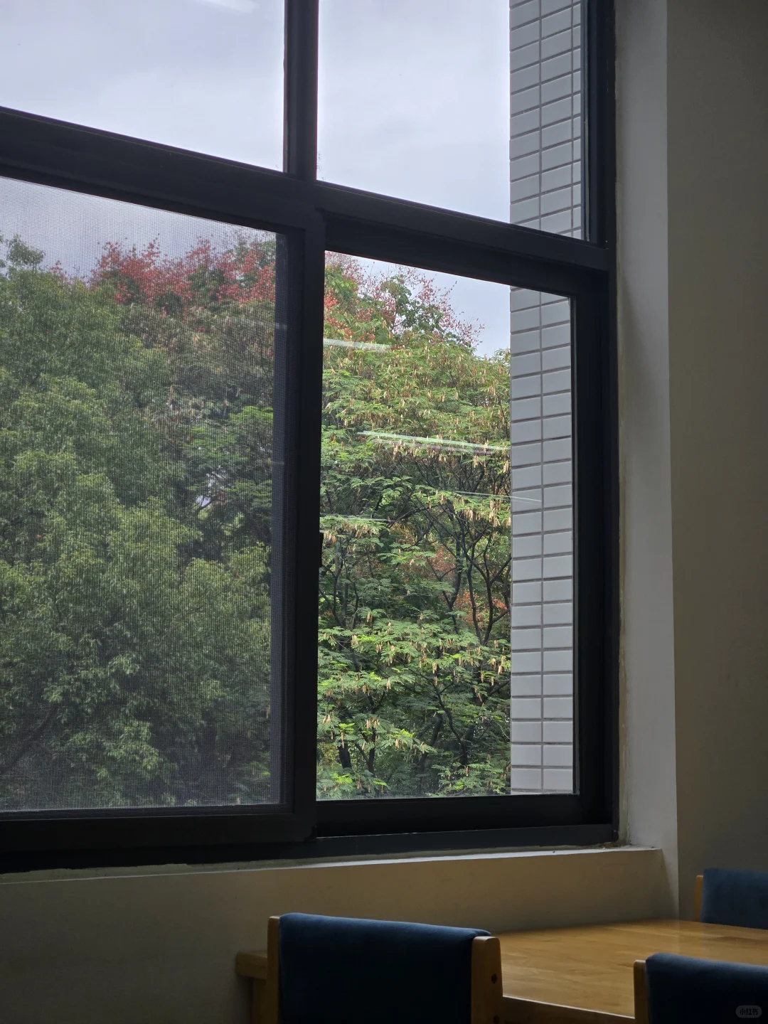 大专学校的图书馆真是宝藏