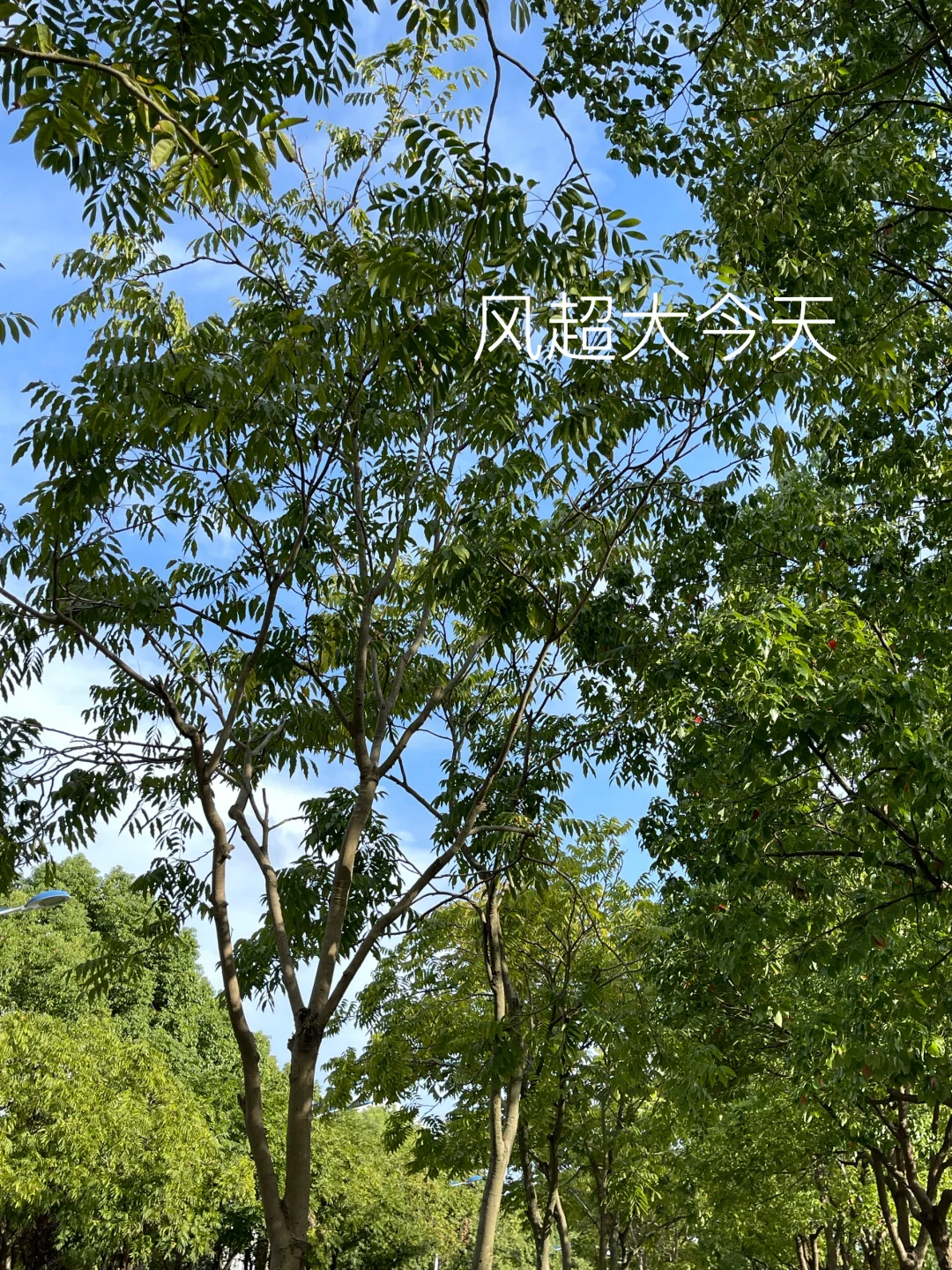 困难只是暂时的???