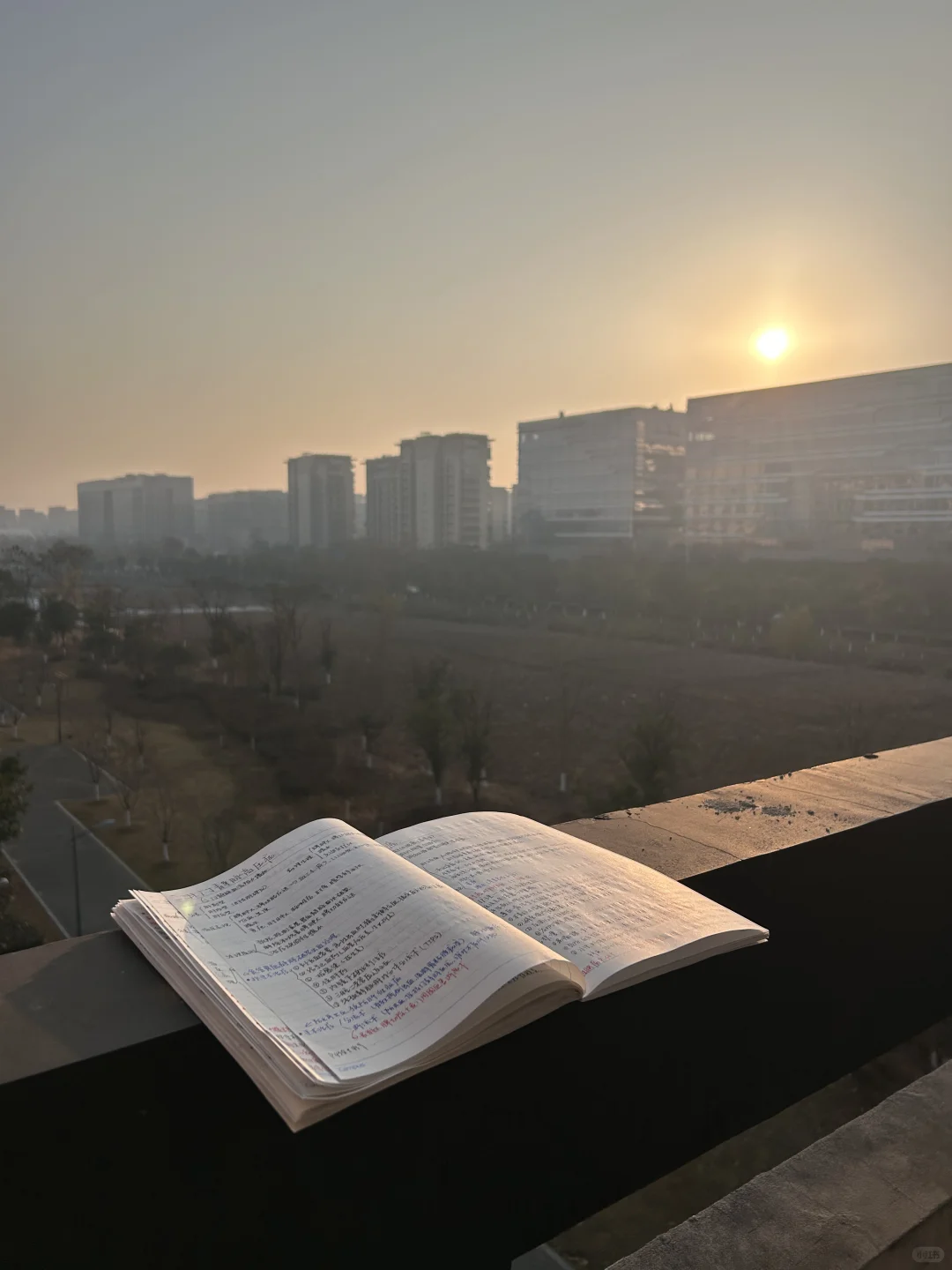 hznu图书馆已被我们医学生占领