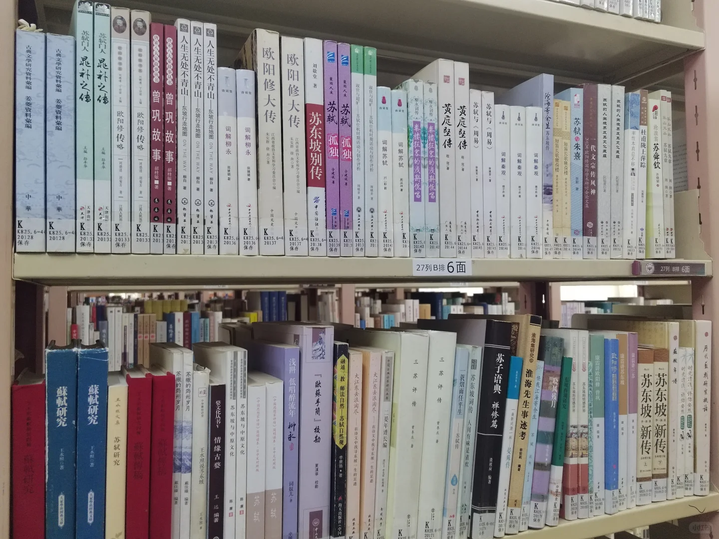 谁懂大学图书馆对我的吸引力！