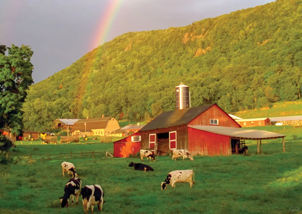 *Arla奶牛的幸福生活