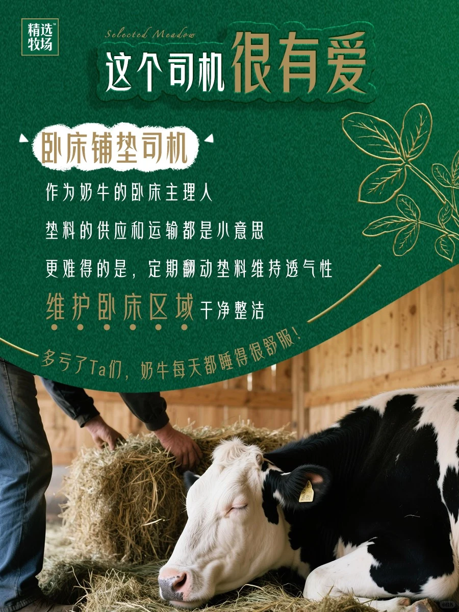 必须给这些牧场劳动者一个大大的赞！