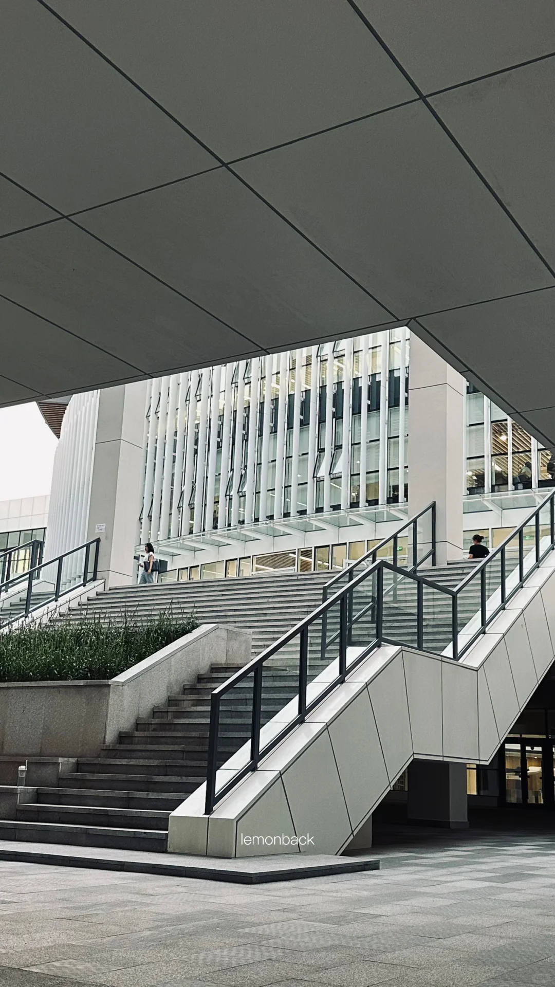 当影视剧里图书馆具像化—沈大图书馆