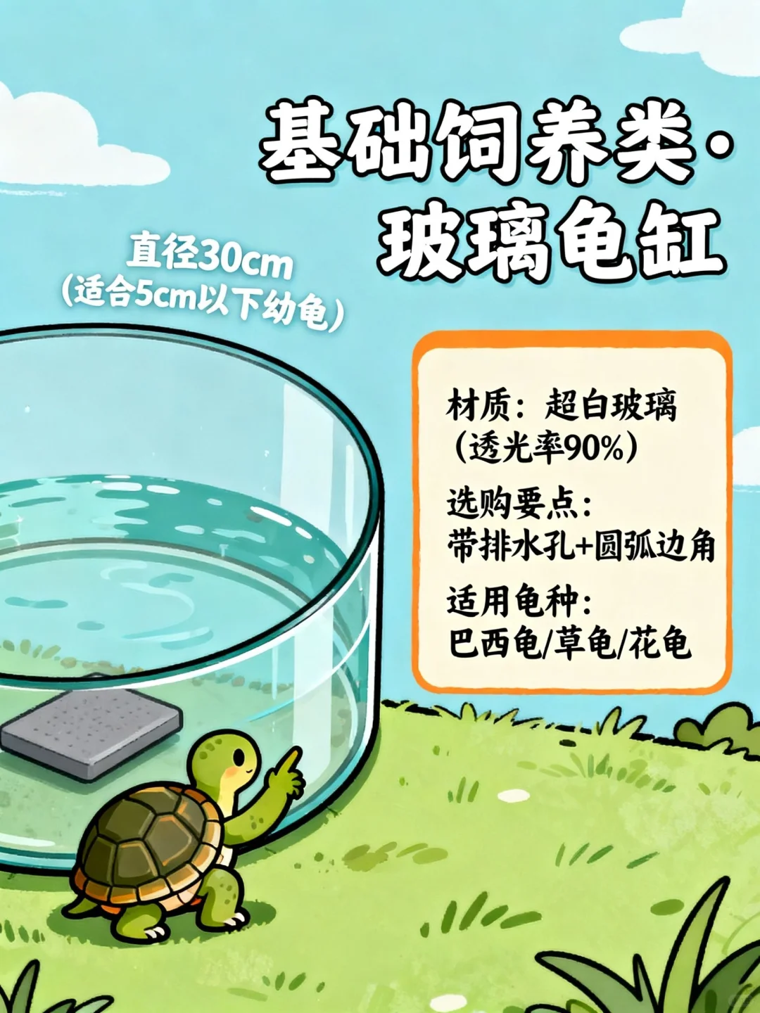 ?新手养龟不翻车！8件神器公开