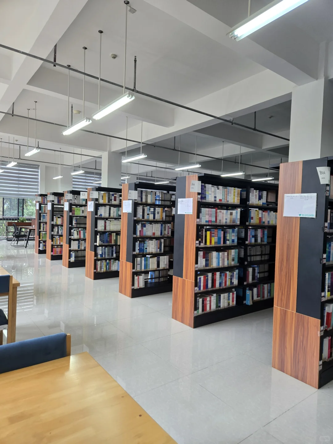 大专学校的图书馆真是宝藏