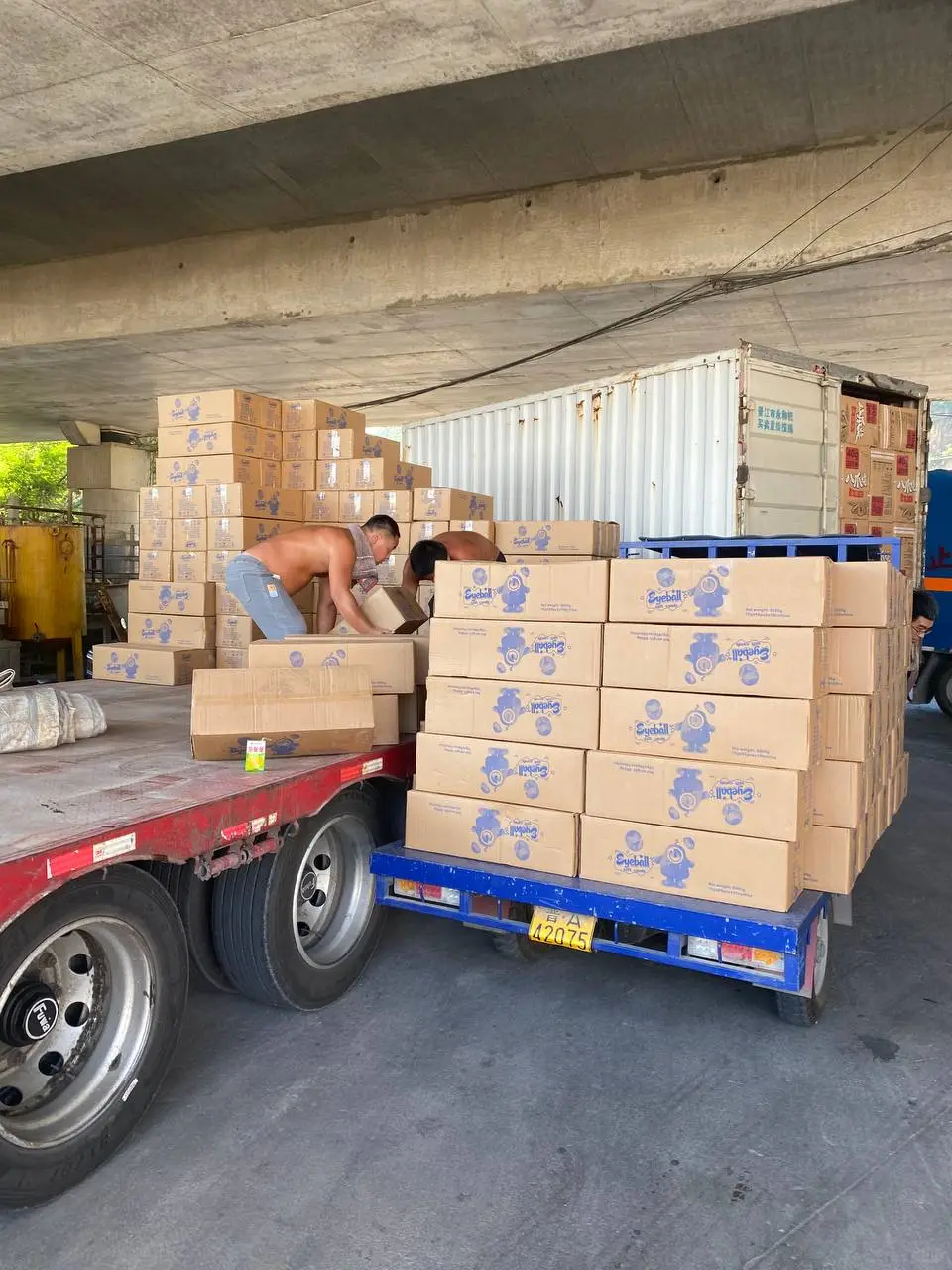 Трал | Trawl | 拖网