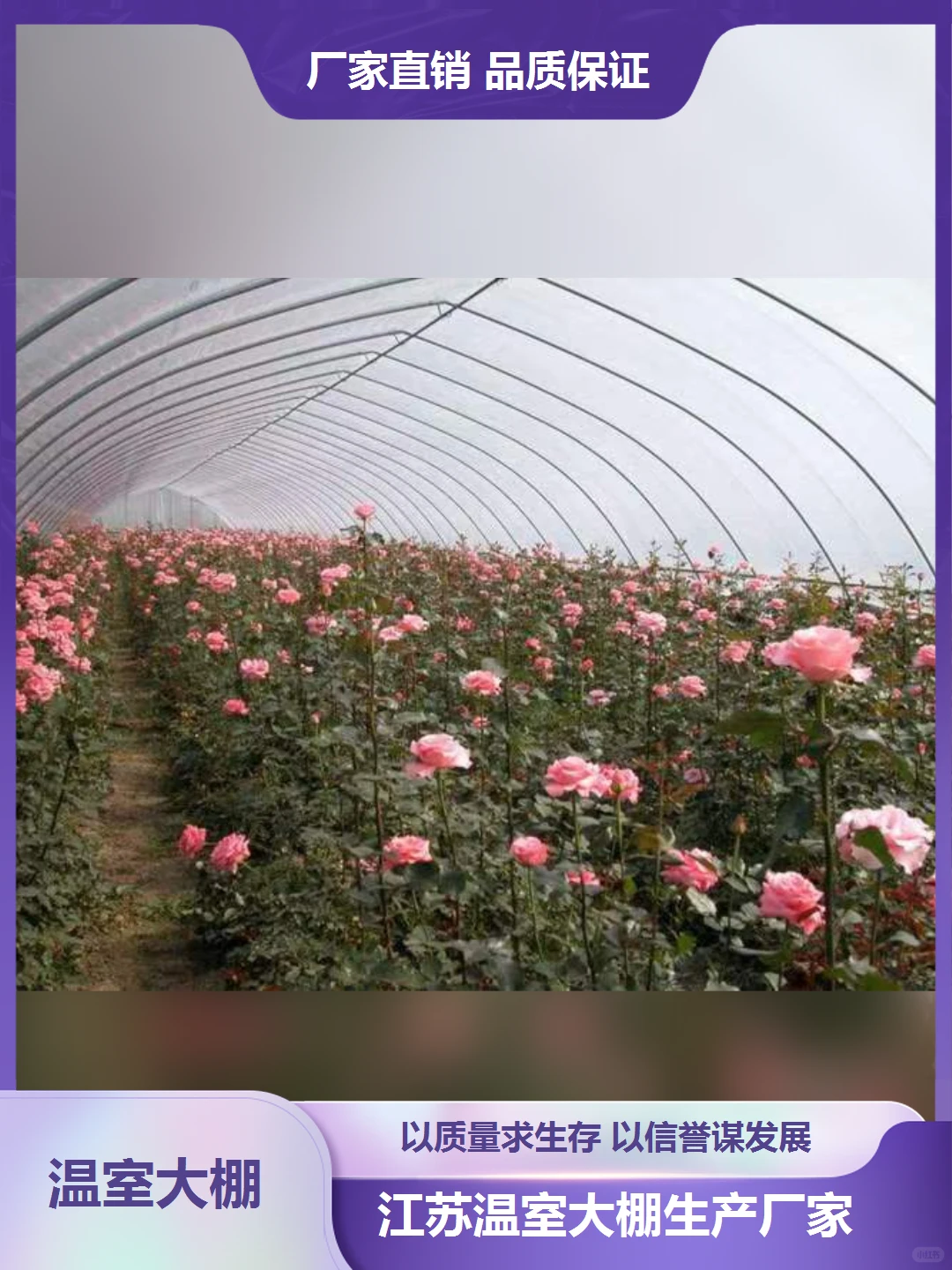 贵州温室大棚生产厂家