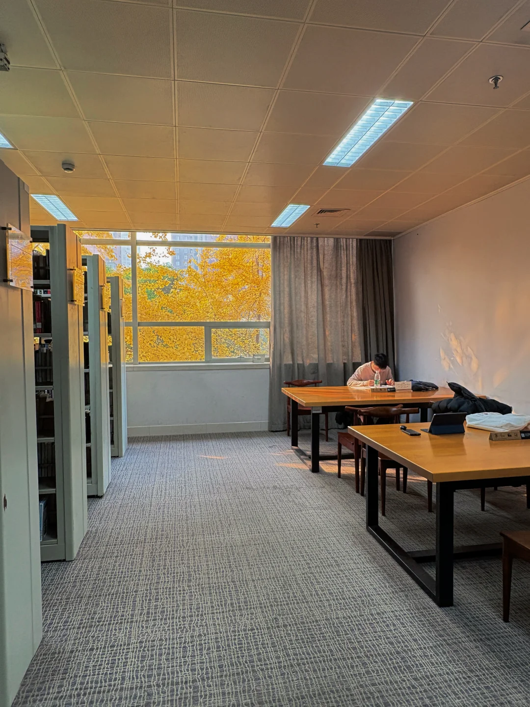 不止迪迦，图书馆里也有“光”的力量