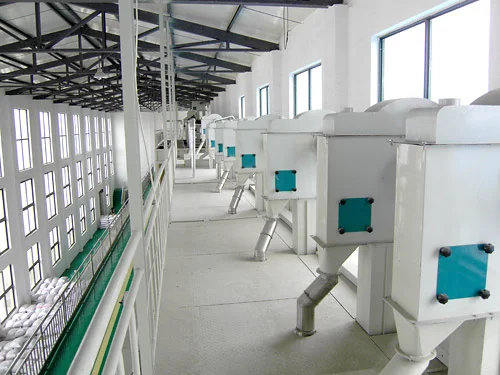 全套日加工300吨稻谷加工厂生产线作业工
