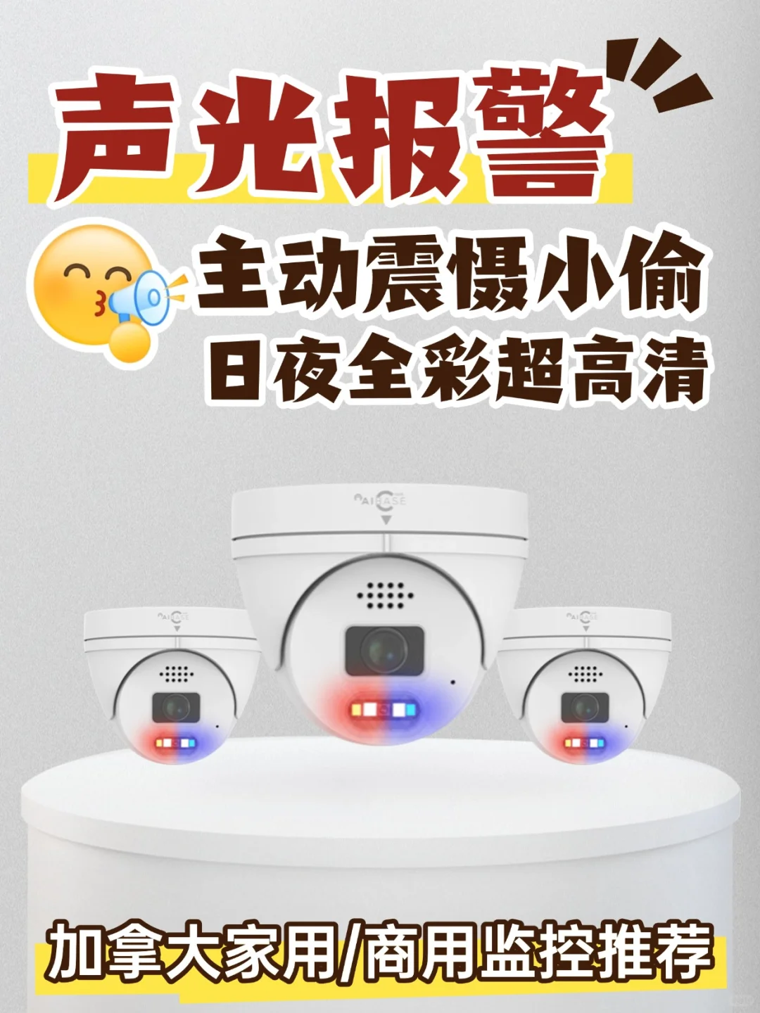 加拿大:不怕被砸的监控?会自己喊救命!