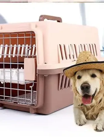 佳木斯宠物托运运输-飞机托运