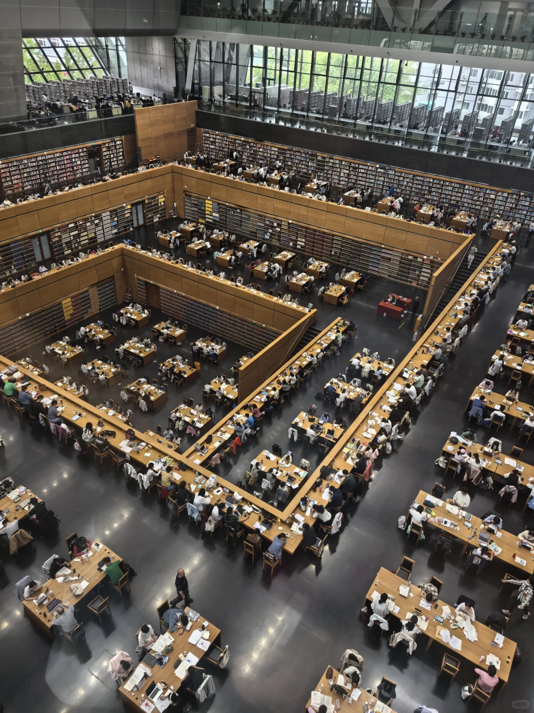 氛围感拉满，亚洲第一的图书馆