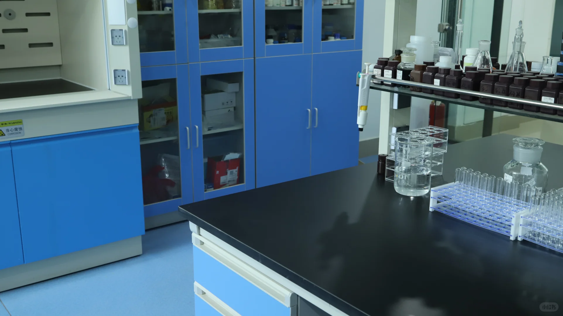 食用油综合检测仪-酸价过氧化值+黄曲霉毒素