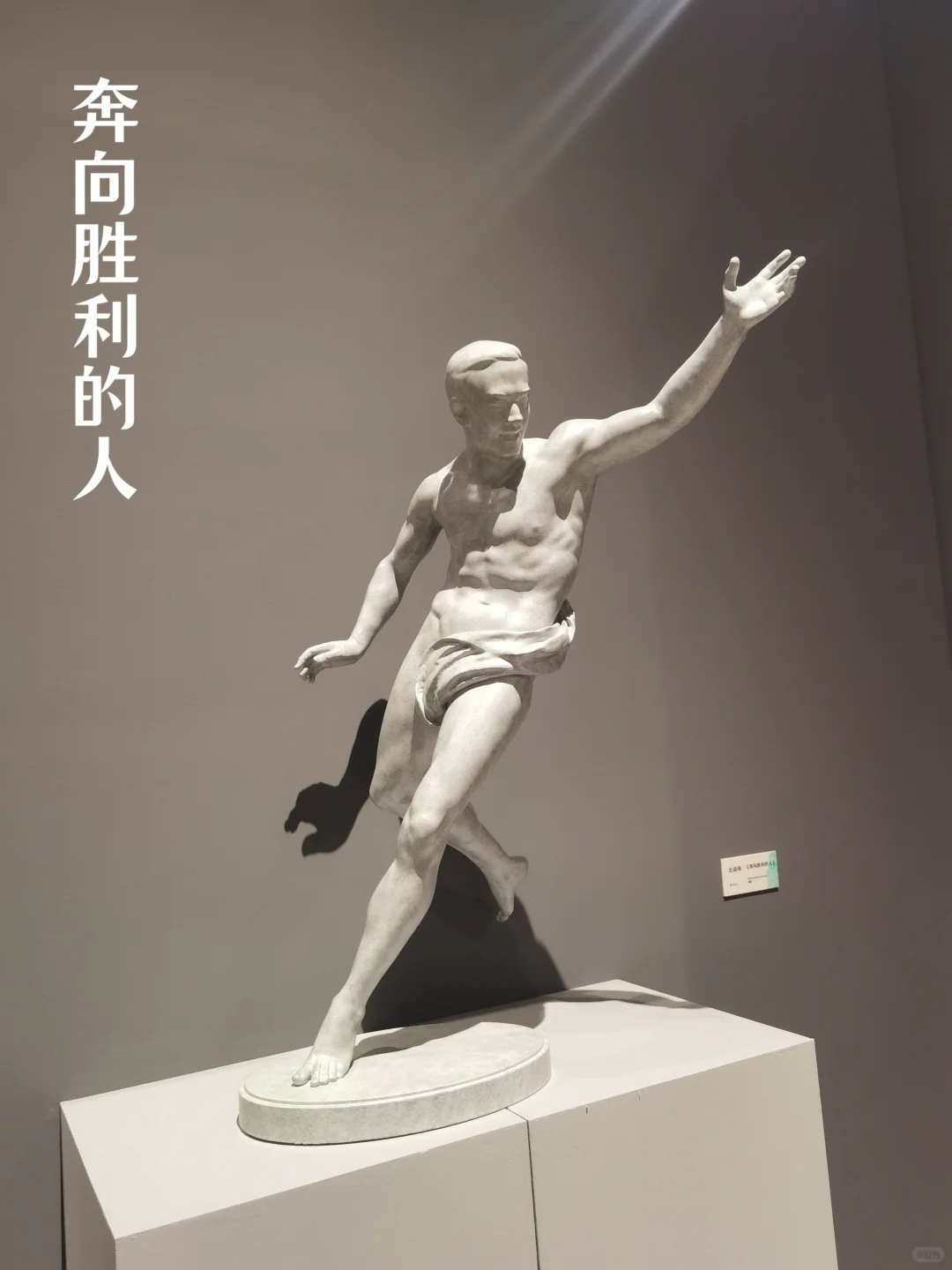 海沧金沙书院，马约翰艺术大展