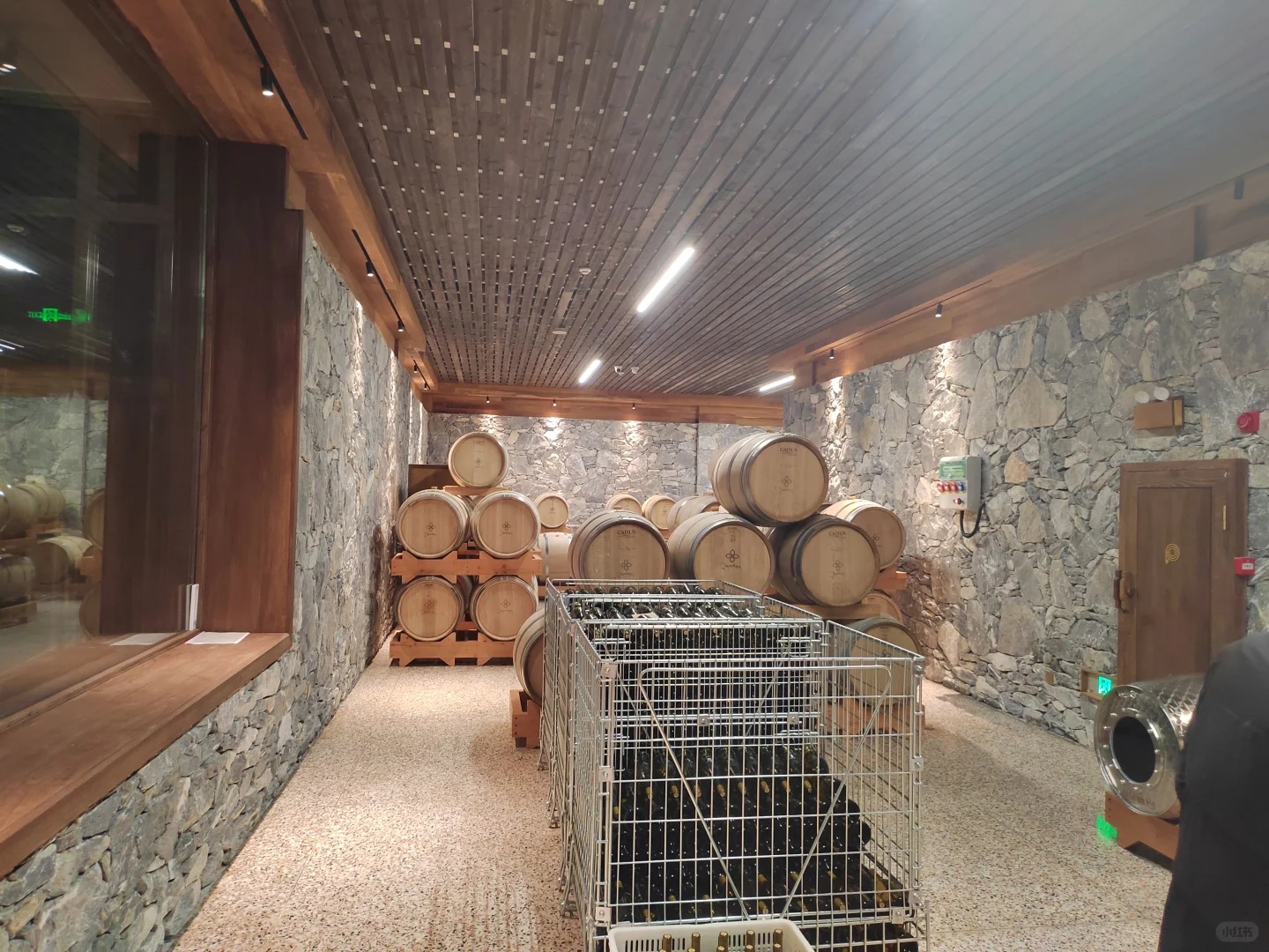 葡萄酒硕士毕业，做了四年市场又回到酒庄