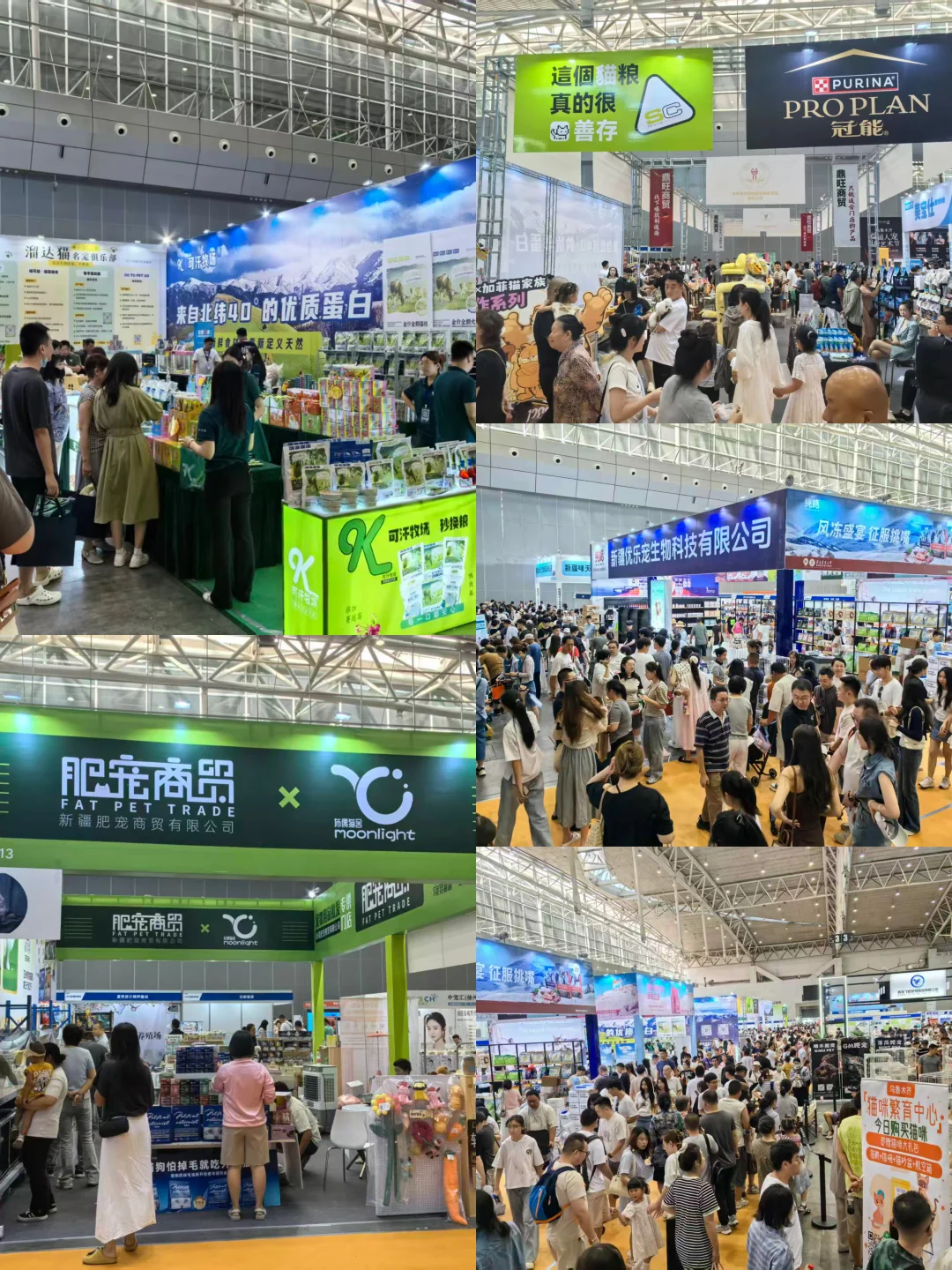 海南宠友集合！2026宠物博览会双站狂欢来袭
