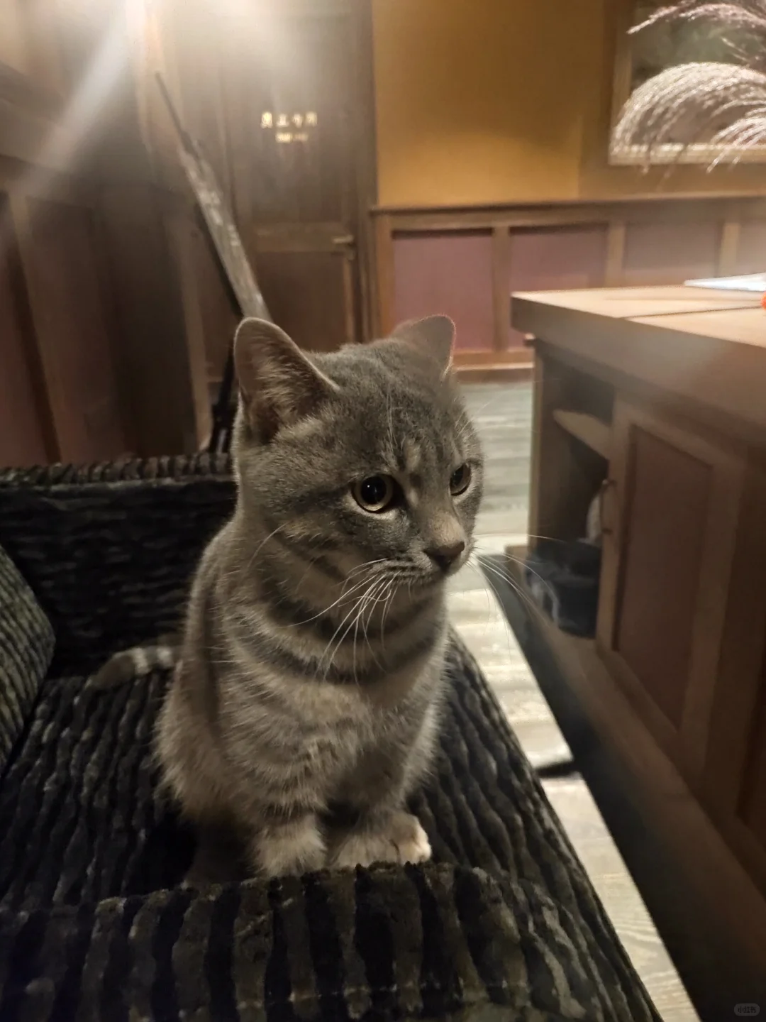 葡萄酒硕士毕业，做了四年市场又回到酒庄