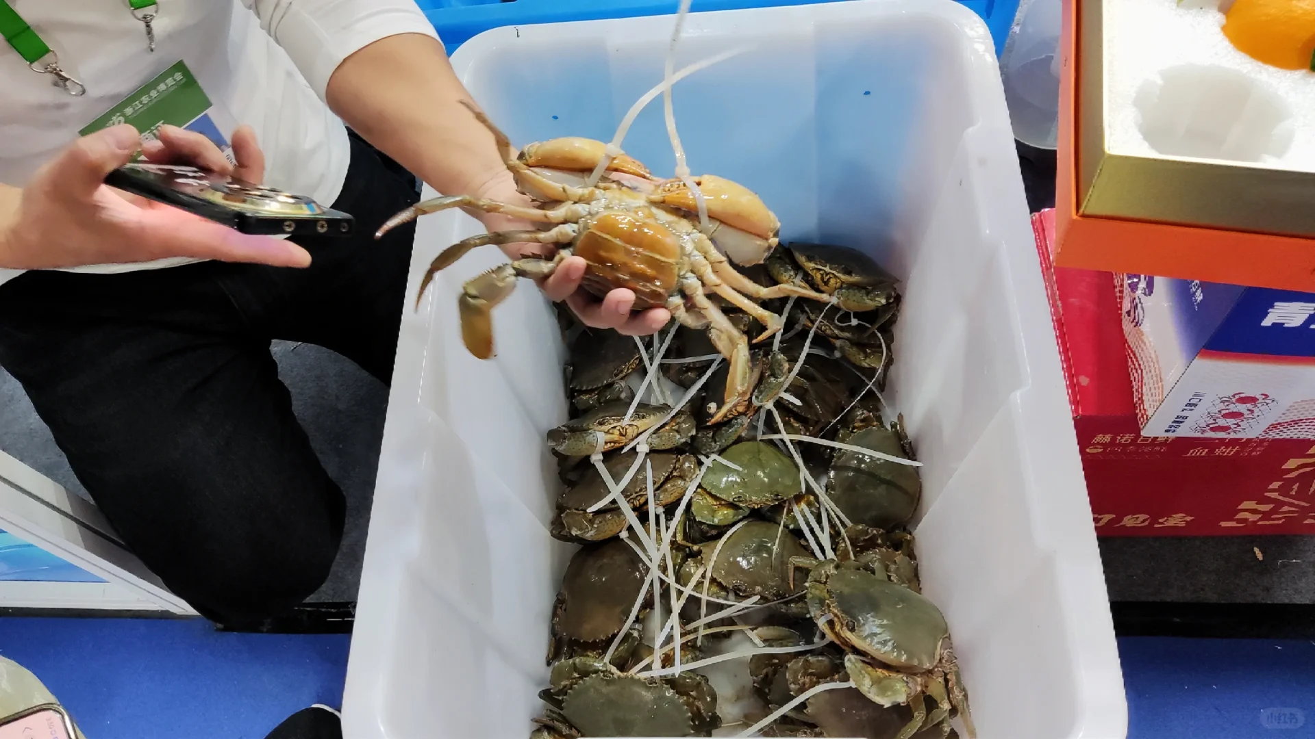 周末暴走在农博会蹭吃蹭喝的一天！