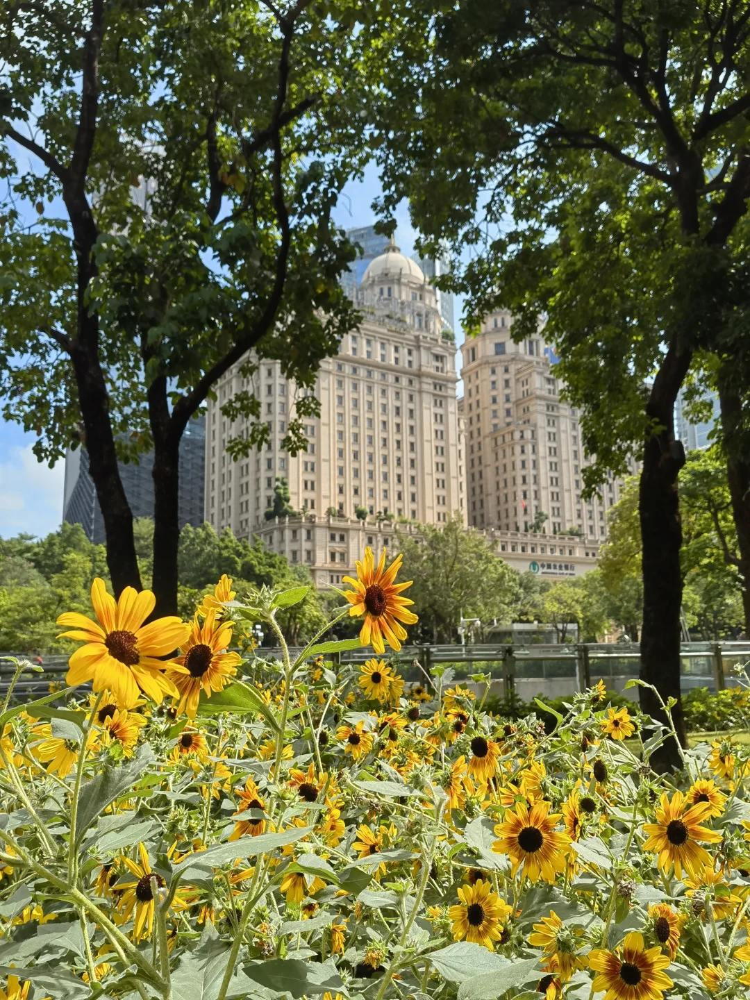 广州园博会真的太美啦！?