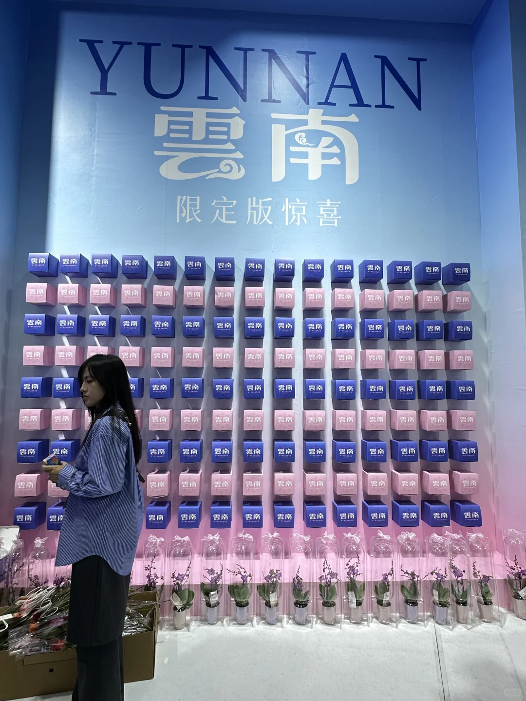 快来长三角文博会薅羊毛啦!