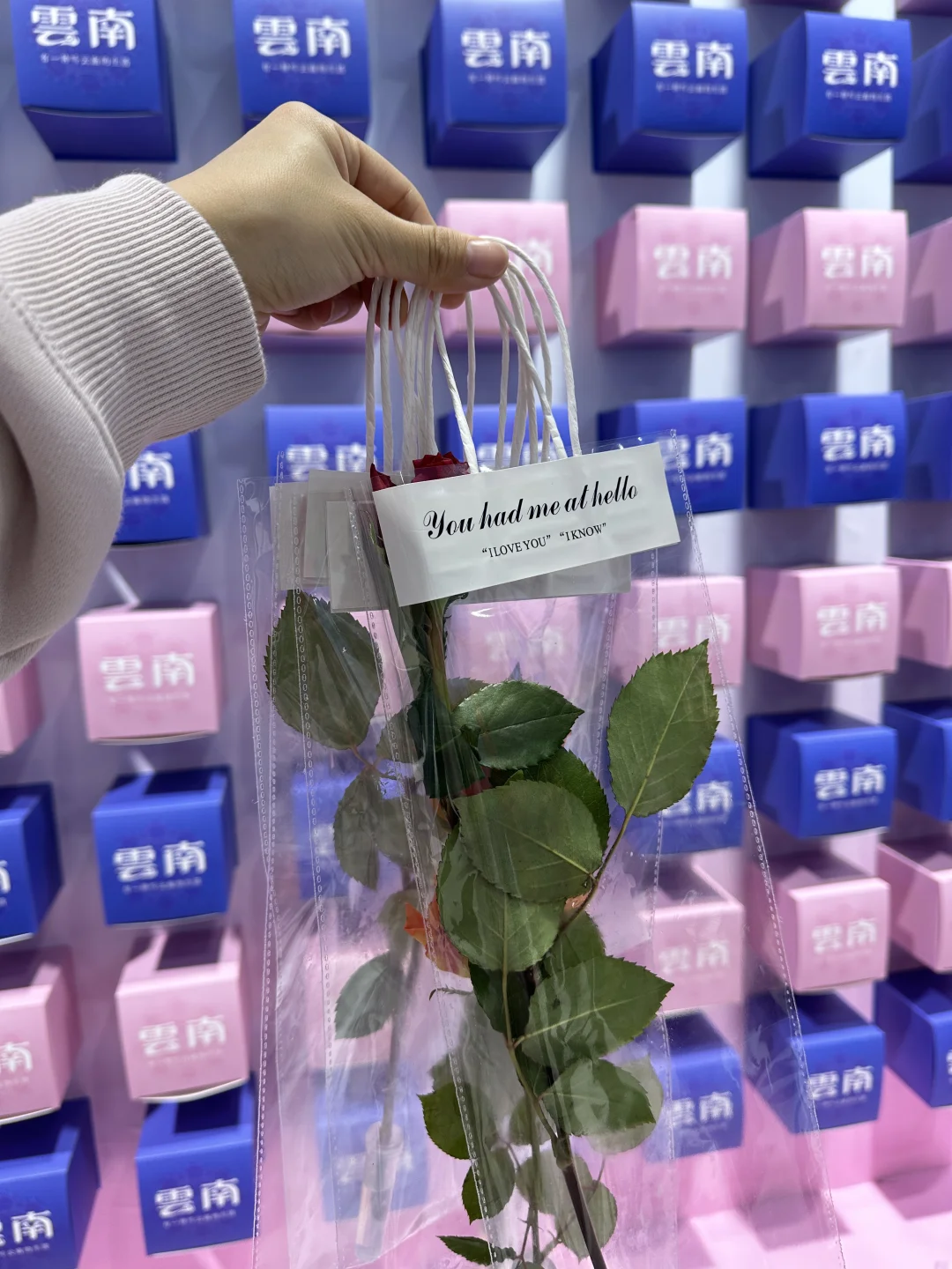 快来长三角文博会薅羊毛啦!