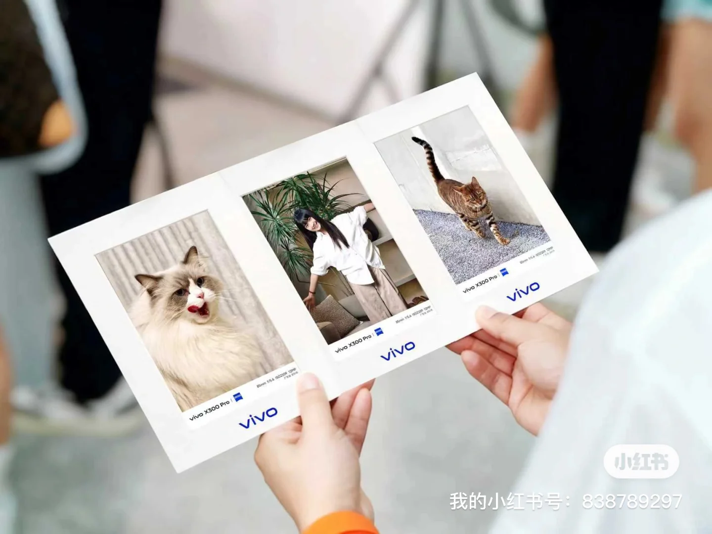 WCF深圳赛！12月6-7你报名了吗？