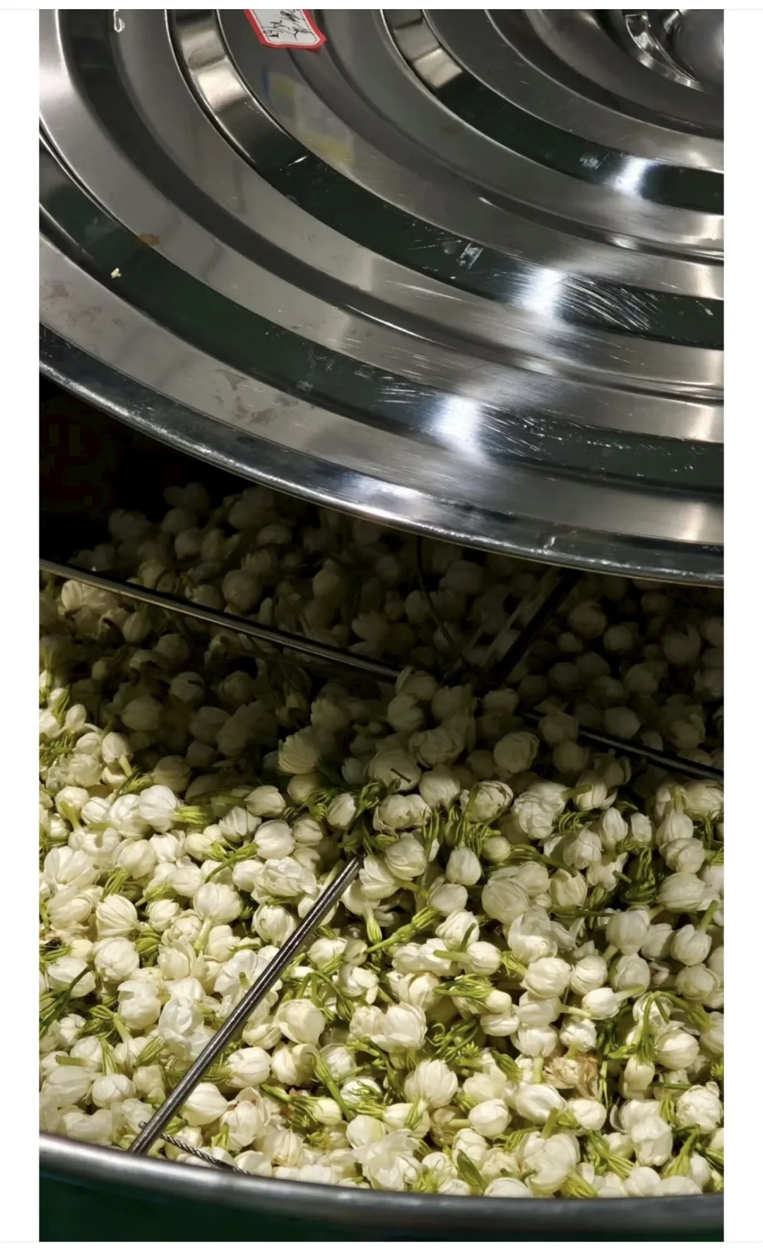 中国本土低度酒去哪里了?